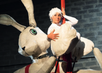 La ville de Carpentras fait tout un cirque