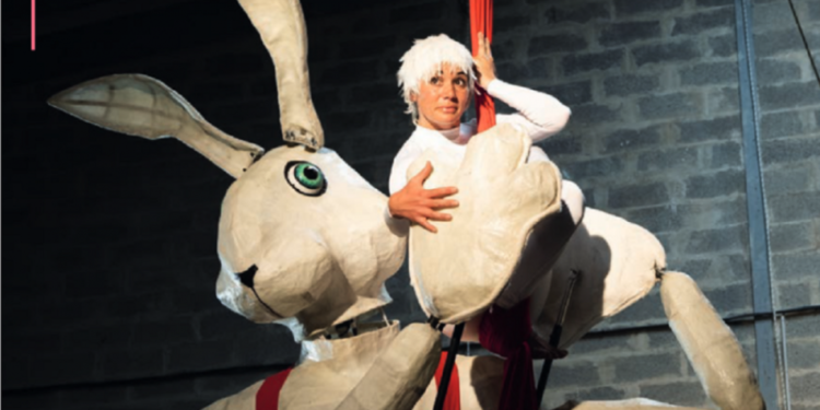 La ville de Carpentras fait tout un cirque