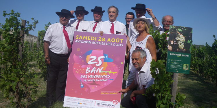 Le 25ème Ban des vendanges : c’est samedi prochain à Avignon !