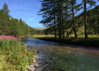 La qualité des rivières en Provence-Alpes-Côte d’Azur