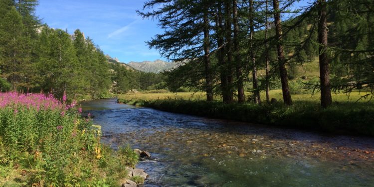 La qualité des rivières en Provence-Alpes-Côte d’Azur