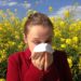 Pollens à l’ambroisie, la saison est lancée !
