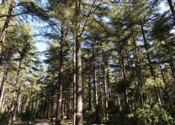 Interdiction d’accès à tous les massifs du Vaucluse