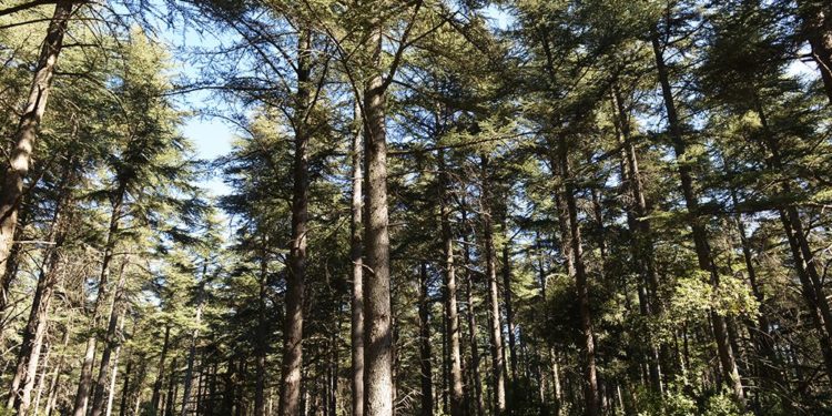 Interdiction d’accès à tous les massifs du Vaucluse