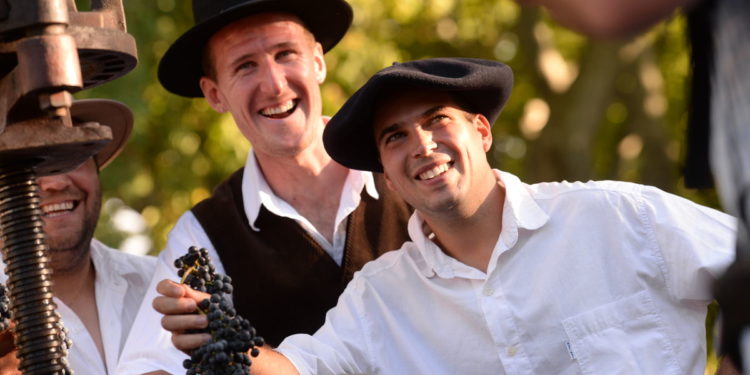 Ban des vendanges à Avignon, 25e édition