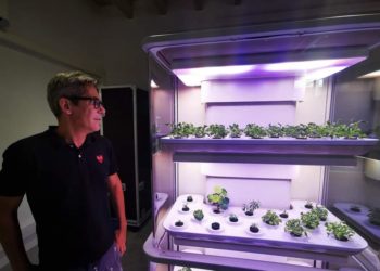 La Grangette, le potager connecté qui fleurira dans les cuisines