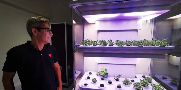 La Grangette, le potager connecté qui fleurira dans les cuisines