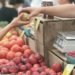 Les marchés du soir des producteurs de Vaucluse continuent à la rentrée