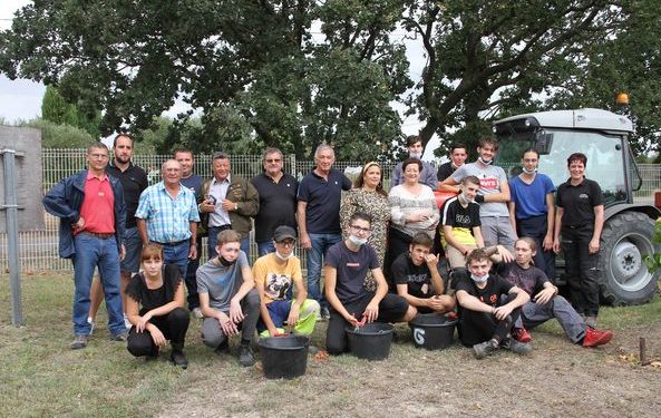 Les élèves du campus Provence Ventoux font les vendanges