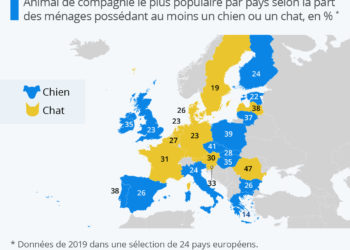 Plutôt chien ou chat ? Quel animal préfèrent les Européens ?