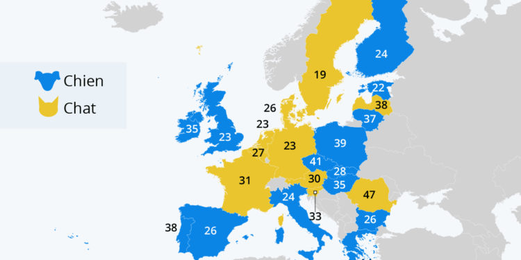 Plutôt chien ou chat ? Quel animal préfèrent les Européens ?