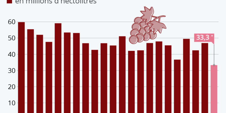 Vins : la récolte 2021 s’annonce comme la pire du siècle