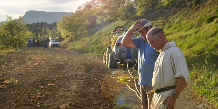 Au pied du Ventoux, moines et viticulteurs travaillent main dans la main