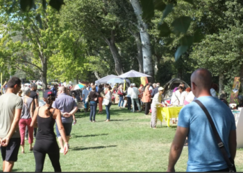 Avignon-La Barthelasse, le Forum des associations a lieu ce dimanche 5 septembre