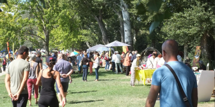 Avignon-La Barthelasse, le Forum des associations a lieu ce dimanche 5 septembre