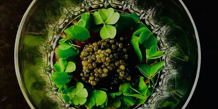 La Mirande, une nouvelle distinction pour le chef étoilé Florent Piétravalle et du changement au restaurant