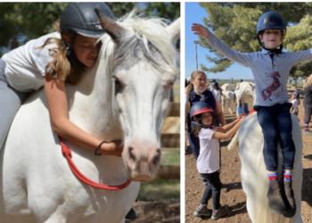 Le centre d’équihomologie du ‘Lucky horse’ à Mazan ouvre ses portes