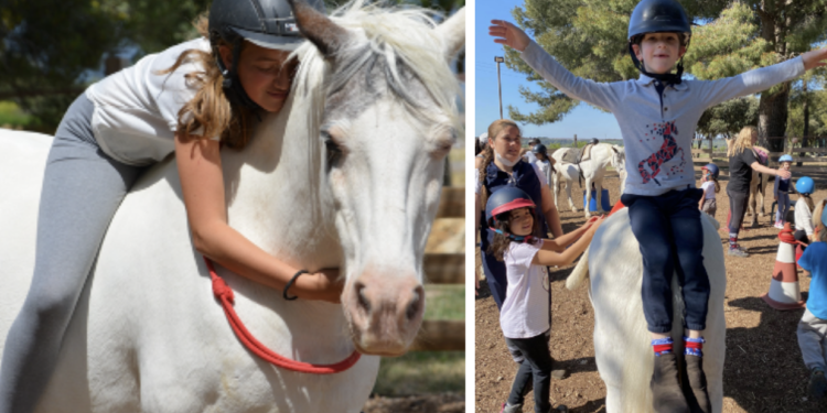 Le centre d’équihomologie du ‘Lucky horse’ à Mazan ouvre ses portes