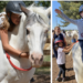 Le centre d’équihomologie du ‘Lucky horse’ à Mazan ouvre ses portes