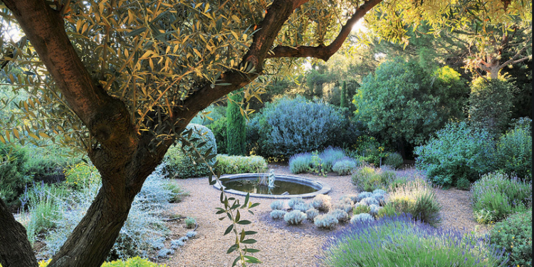 Saint-Didier, Comment le génie végétal s’adapte à la sècheresse