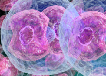 Avignon, un exploit sportif dénommé Lymphom tour ce mercredi 15 septembre