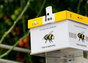 (Vidéo) Koppert créé des ruches fabriquées à partir de 85% de matériaux recyclés