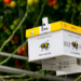 (Vidéo) Koppert créé des ruches fabriquées à partir de 85% de matériaux recyclés