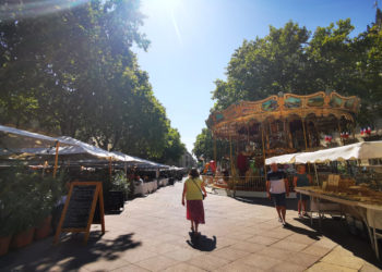 Le point sur la situation sanitaire en Vaucluse