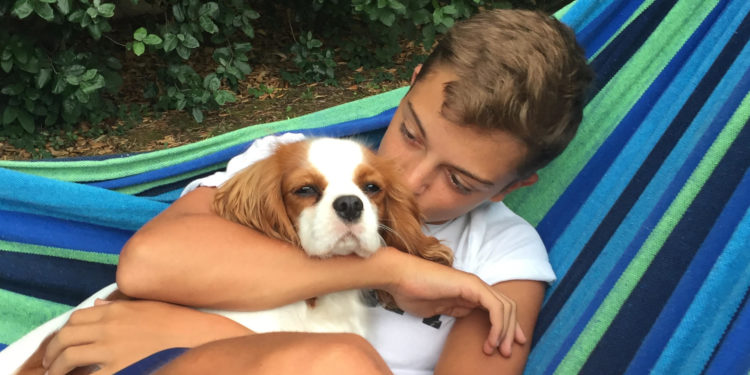 ‘Vertical combat’ : la mobilisation d’une mère pour son fils