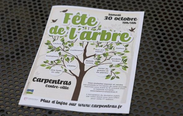 Carpentras : la ‘fête de l’arbre’ se prépare pour la première édition