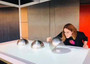 La start-up canadienne ‘Stimulation déjà vu’ choisit Carpentras