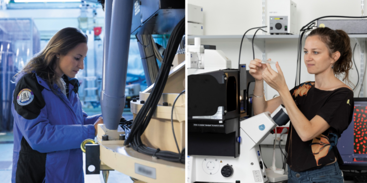 Science : 2 Vauclusiennes reçoivent le prix jeunes Talents 2021 l’Oréal-Unesco