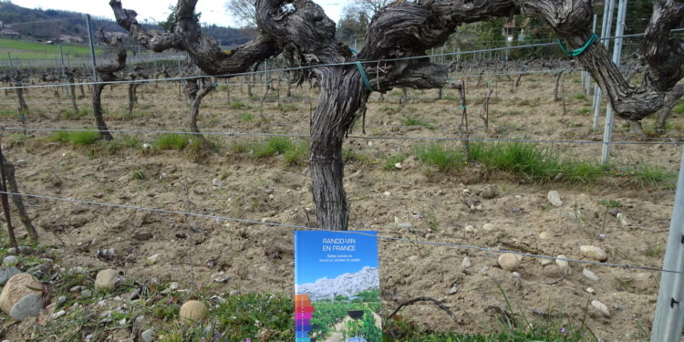 Des randonnées et des vins