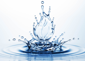 Avignon, une formation pour comprendre les enjeux de l’eau