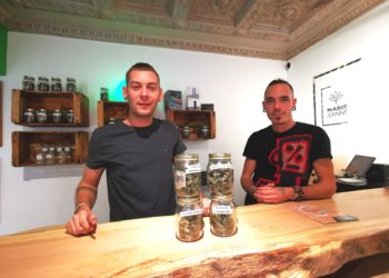 ‘Orange bud Paca CBD’, quel chanvre !