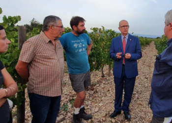 Gel d’avril, Le sénateur Lucien Stanzione soutient les agriculteurs du Haut Vaucluse