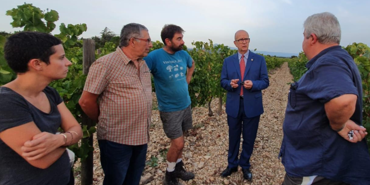 Gel d’avril, Le sénateur Lucien Stanzione soutient les agriculteurs du Haut Vaucluse