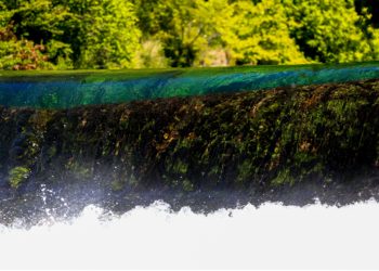 Eau : Les agriculteurs vauclusiens ont fait la chasse aux nitrates