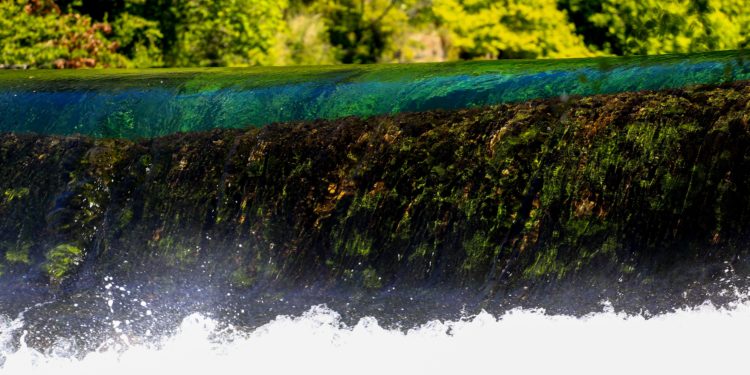 Eau : Les agriculteurs vauclusiens ont fait la chasse aux nitrates