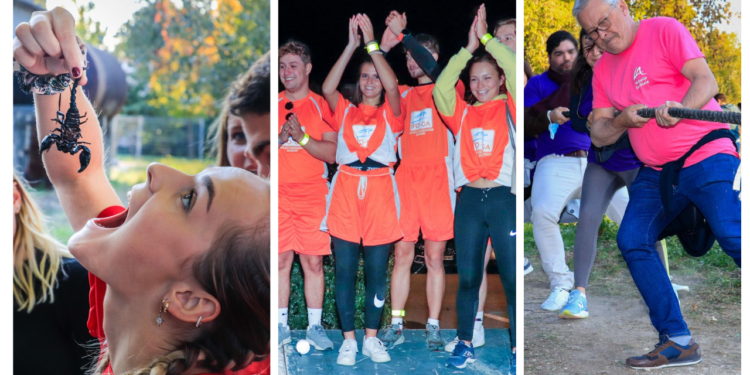 Carton plein pour les premières Olympiades d’Agroparc