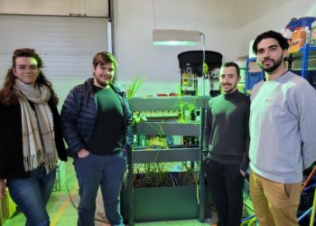 Azuvia : de l’Île-de-France à Avignon