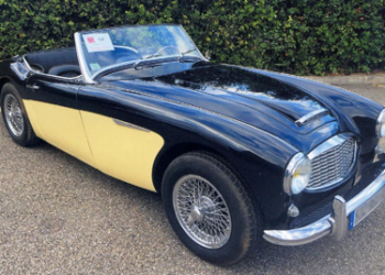 Avignon, Hôtel des ventes, Tableaux anciens, bel ameublement et objets d’art