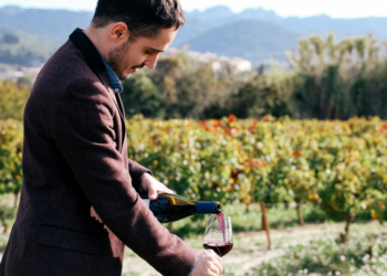 Marché de Noël à Avignon, Thibaut Seignon, sommelier, partage sa passion pour le  vin !