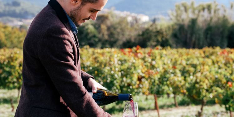 Marché de Noël à Avignon, Thibaut Seignon, sommelier, partage sa passion pour le  vin !
