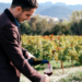 Marché de Noël à Avignon, Thibaut Seignon, sommelier, partage sa passion pour le  vin !