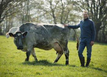 Appel à candidatures, Prix national de l’agrobiodiversité animale 2022