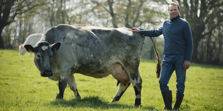 Appel à candidatures, Prix national de l’agrobiodiversité animale 2022
