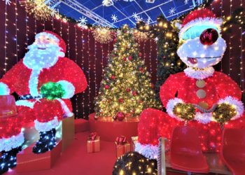 Blachère illumination : de la tour Eiffel à ‘Fifth avenue’