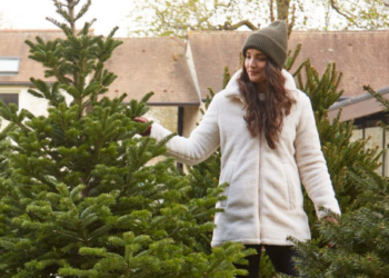 Truffaut, des sapins de Noël pour la bonne cause