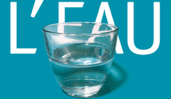 Volubilis, les 14e Rencontres Euro-Méditerranéennes c’est maintenant !